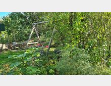 Ein grüner Garten mit dichtem Laubwerk, blühenden Pflanzen und einer Holzschaukel in der Mitte. Im Hintergrund befindet sich eine niedrige Holzkonstruktion an der Grenze des Gartens.