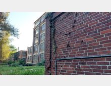 Backsteinfassade eines verlassenen Industriegebäudes mit großen, vergitterten Fenstern. Im Vordergrund ranken Pflanzen an der Wand, während im Hintergrund eine grüne Wiese und Bäume sichtbar sind.