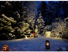 Schneebedeckter Garten bei Nacht mit beleuchteten Bäumen und Sträuchern, einer Holzbank in der Mitte, dekoriert mit einem roten Stern, sowie mehreren Laternen, die warmes Licht spenden.