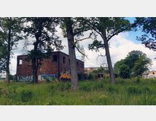 Verlassene Backsteingebäude mit Graffiti an den Wänden, umgeben von hohen Bäumen und dichtem, überwuchertem Gras. Im Hintergrund sind weitere Gebäude sowie Teile einer ländlichen Umgebung erkennbar.