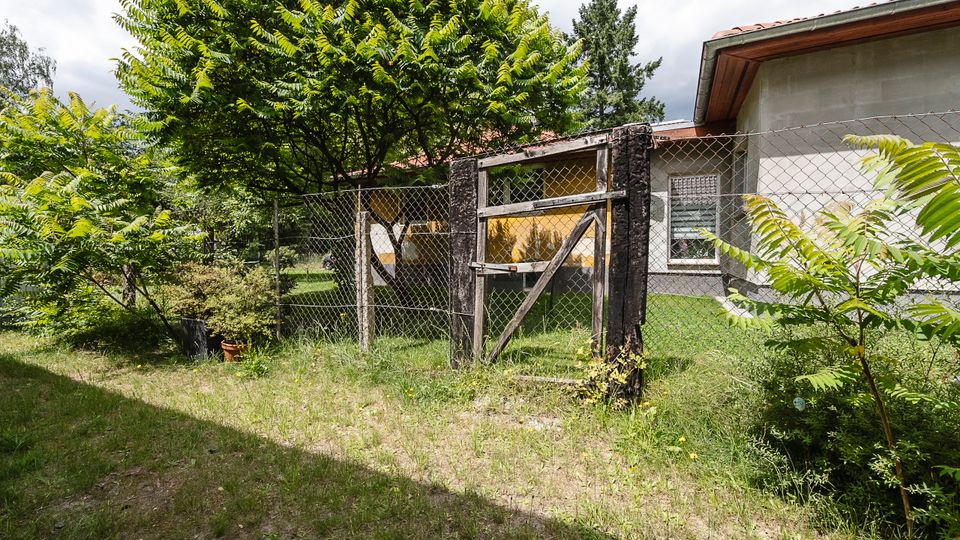 Blick auf einen verwilderten Garten mit hohem Gras, Büschen und mehreren Bäumen, der durch einen Maschendrahtzaun mit einem alten Holztor abgegrenzt ist. Rechts steht ein eingeschossiges Wohnhaus mit verputzter Fassade, Fenster und Dachüberstand.