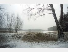 Landschaft mit leicht verschneitem Boden, kahlen Bäumen im Vordergrund und einem zugefrorenen See in der Mitte, umgeben von Wald im Hintergrund unter einem bewölkten Himmel.