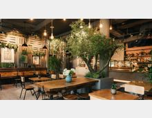 Ein modernes Café mit Holztischen und -stühlen, dekoriert mit vielen Pflanzen, darunter ein großer Baum in der Mitte. Im Hintergrund sind eine Theke mit Gebäck und Getränken sowie Holzwandverkleidungen mit hängenden Pflanzen und Bildern sichtbar.