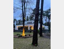 Modernes, flaches Wohnhaus mit weißer Fassade und großen, warm beleuchteten Fenster- und Terrassenöffnungen, umgeben von einem Waldgrundstück. Im Vordergrund stehen hohe Bäume auf einer Rasenfläche; eine kurze Treppe führt zur überdachten Terrasse, daneben eine niedrige Steinmauer und Gartenbepflanzung.