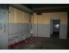 Ein leerer, verfallener Raum mit gelb gestrichenen Wänden und grauen Fliesen im unteren Bereich. Mehrere betonartige Waschbecken stehen entlang einer Wand, daneben ein kleiner Wandwaschbecken; im Hintergrund führt eine Tür in einen weiteren Raum.