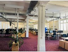 Großer, offener Büroraum mit weißen Wänden und sichtbaren Deckenrohren, ausgestattet mit Schreibtischen, Bürostühlen und Computern. Der Boden ist mit einem weinroten Teppich mit weißen Punkten bedeckt, und an mehreren Stellen stehen grüne Zimmerpflanzen.