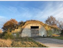 Betonbunker mit halbkreisförmigem Dach, bewachsen mit Gras und Büschen; im Vordergrund ein gepflasterter Weg, im Hintergrund kahle Bäume und herbstliche Vegetation.
