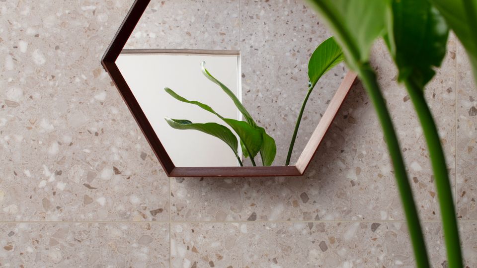 Modern bathroom vanity with a white sink and chrome faucet against a light terrazzo-tile wall, featuring a hexagonal wooden-framed mirror above. Large green plant leaves partially frame the view, with soap and toiletry bottles on the countertop.