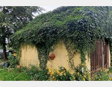 Kleines gelbes Gartenhaus mit einer Fassade, die fast vollständig von Efeu überwachsen ist. Vor dem Haus befinden sich gelbe Blumen, und im Hintergrund sind Bäume erkennbar.