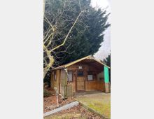 Holzhütte mit Satteldach in einem Garten, umgeben von hohen Nadelbäumen und einem laublosen Baum im Vordergrund. Der Boden vor der Hütte ist mit Betonplatten belegt, und im Vordergrund sind Gartenutensilien und Laub sichtbar.