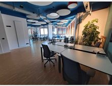 Ein modernes Büro mit offenen Arbeitsplätzen, hellen Holzböden, weißen Schreibtischen und schwarzen Bürostühlen. Die Decke ist blau mit runden, weißen Akustik-Paneelen, und große Fenster lassen Tageslicht ein; Pflanzen sind als Dekoration integriert.