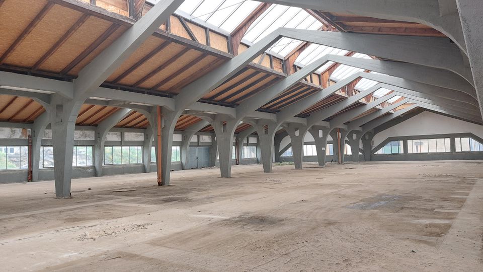 Leerer Innenraum einer großen Industriehalle mit freiliegendem Dachgebälk aus Holz und Stahlträgern. Oberlichter aus Glas und Fensterreihen entlang der Wände sorgen für natürliches Licht, während der Betonboden staubig und ungenutzt ist.