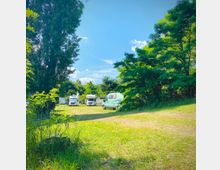 Grüne Campingwiese mit mehreren Wohnmobilen, umgeben von hohen Bäumen und Gebüsch unter einem klaren blauen Himmel. Im Hintergrund ist ein kleines Gebäude zu sehen.