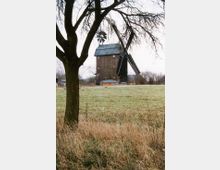Historische Holzwindmühle auf einer offenen Wiese, umgeben von kahlen Bäumen und winterlicher Vegetation. Im Vordergrund steht ein Baum, und im Hintergrund sind vereinzelt Büsche und Bäume erkennbar.