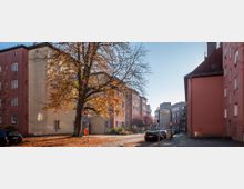 Straßenszene in einem Wohngebiet mit mehrstöckigen Wohnhäusern in warmen Farben, einem großen Laubbaum mit herbstlichem Laub im Vordergrund und parkenden Autos entlang der Straße. Im Hintergrund sind weitere Gebäude und ein Straßenschild zu erkennen.