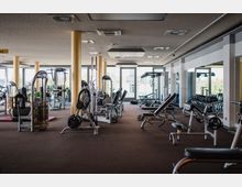 Innenansicht eines modernen Fitnessstudios mit verschiedenen Fitnessgeräten wie Hantelbänken, Laufbändern und Kraftmaschinen. Der Raum hat goldene Säulen, große Fenster mit Tageslichteinfall und Spiegel an den Wänden.
