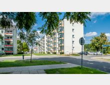 Mehrstöckige Wohngebäude mit Balkonen und hellen Fassaden, umgeben von Bäumen, einer gepflasterten Straße und parkenden Autos. Im Vordergrund führt ein Gehweg über eine Grünfläche.