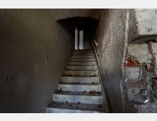 Schmales, dunkles Treppenhaus mit Betonstufen, an den Wänden abgenutzter Putz und rechts ein einfaches Geländer. Oben führt die Treppe durch eine niedrige Öffnung in einen weiteren, schwach beleuchteten Bereich; auf den Stufen liegen trockene Blätter.