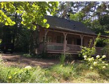 Ein Holzhaus mit Veranda steht in einem waldigen, natürlichen Umfeld. Vor dem Haus befindet sich ein Garten mit hohen Gräsern und blühenden Sträuchern, im Hintergrund ist ein schwarzer Pickup geparkt.
