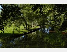 Waldähnliche Parklandschaft mit einem schmalen, ruhig fließenden Wasserkanal, gesäumt von Bäumen wie Birken und dichtem Grün. Das Wasser spiegelt die umstehenden Bäume, während einzelne Anlegestellen aus Holz und blühende Pflanzen zu erkennen sind.
