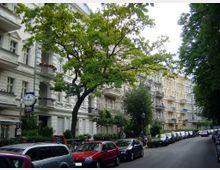 Straßenszene in einer Stadt mit historischen Wohnhäusern im Stil der Gründerzeit, verziert mit Balkonen und Stuckdetails. Entlang der Straße stehen geparkte Autos, und ein großer Baum spendet Schatten; Fußgänger und ein Restaurant mit einem Schild sind ebenfalls sichtbar.