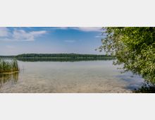 Klares Ufer eines Sees mit flachem, durchsichtigem Wasser; im Hintergrund dichter Wald und ein blauer Himmel mit wenigen Wolken, während rechts ein Baum mit hängenden Ästen ins Bild ragt.