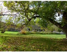 Großer Garten mit einer Wiese, bedeckt von fallenden Blättern, und einem großen, ausladenden Baum im Vordergrund. Im Hintergrund ist ein Steingebäude mit Blumenbeeten zu sehen.
