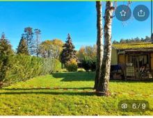 Garten mit kurz geschnittenem Rasen, umgeben von Bäumen und hohen Hecken. Rechts im Bild steht ein kleines gelbes Gebäude mit einer überdachten Veranda.