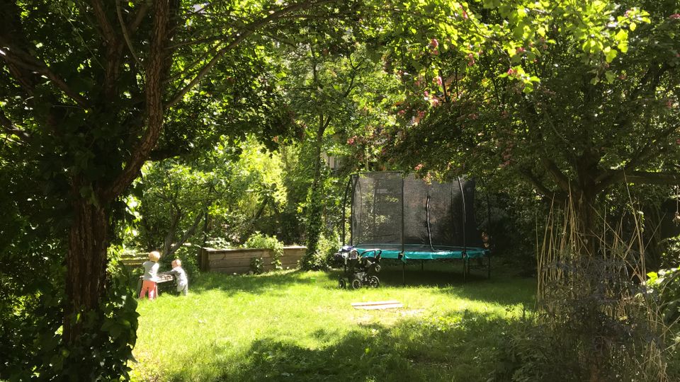 Grüner Garten mit großer Rasenfläche unter dichtem Blätterdach, umgeben von Bäumen und Sträuchern. Im Hintergrund stehen ein rundes Trampolin mit Sicherheitsnetz sowie eine niedrige Holzbegrenzung am Rand des Grundstücks.