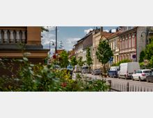 Straßenszene in einer Wohngegend mit mehrstöckigen Gebäuden im klassischen Stil, geparkten Autos und Bäumen am Straßenrand. Im Vordergrund befinden sich ein Metallzaun und Blumensträucher, während der Himmel klar und blau ist.