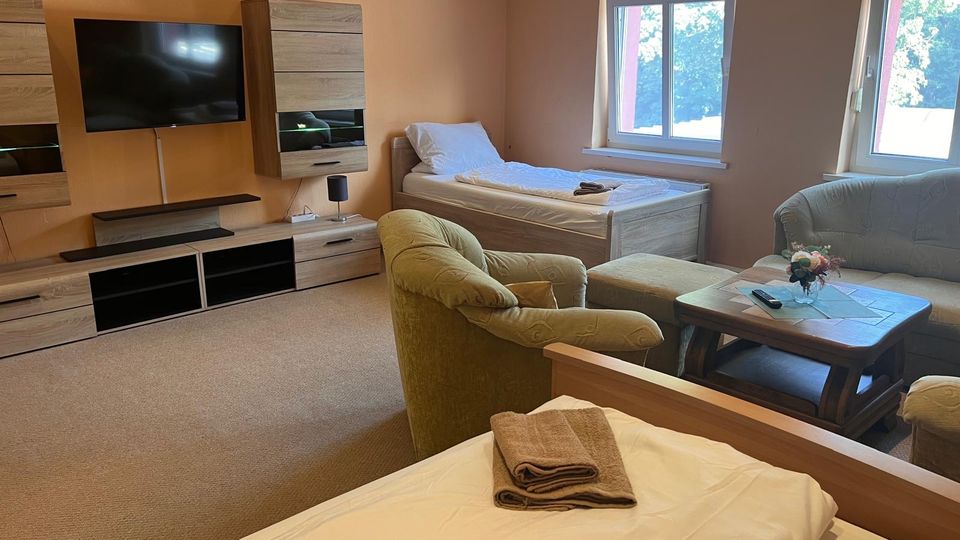 Helles Studiozimmer mit Bett, Sitzecke aus Sofa und Sessel sowie Couchtisch, daneben eine TV-Wand mit Schrankelementen. Große Fenster mit Rollläden bringen Tageslicht in den Raum; helle Wände und Teppichboden prägen die Einrichtung.