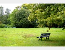 Eine grüne Parklandschaft mit weitläufiger Wiese, umgeben von dichten Bäumen. Im Vordergrund und in der Ferne stehen jeweils grüne Parkbänke, eine davon unter einem großen Baum mit tief hängenden Ästen.
