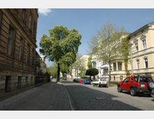Straßenszene in einem Wohngebiet mit historischen Gebäuden auf beiden Seiten, rechts gelbliche Fassaden mit Stuckelementen, links ein älteres Gebäude mit bräunlicher Fassade. Eine Baumreihe und parkende Autos säumen die gepflasterte Straße, unter einem klaren Himmel.