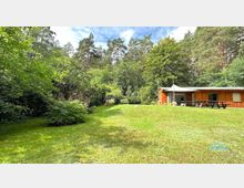 Eine Holzhütte mit Flachdach steht am Rand einer lichtdurchfluteten Wiese, umgeben von dichtem Wald und zahlreichen grünen Büschen. Vor der Hütte befinden sich Holzsitzbänke und Tische, die in einer ruhig gelegenen Naturkulisse platziert sind.