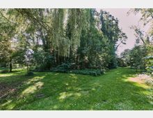 Grüne Parklandschaft mit dichtem Baumbestand, darunter hängenden Zweigen einer Trauerweide, und einer gepflegten Rasenfläche, die in einen schattigen Waldbereich übergeht. Der Bereich ist umgeben von natürlichem Licht, das durch die Baumkronen fällt.