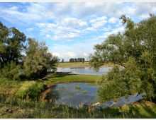 Flusslandschaft mit Bäumen am Ufer, einer kleinen Wasserfläche im Vordergrund und einer weiten, offenen Landschaft im Hintergrund unter einem bewölkten blauen Himmel.