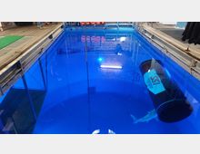 Ein Indoor-Tauchbecken mit blauem, beleuchtetem Wasser, umgeben von Stahl- und Holzplattformen. Im Wasser sind eine Rettungsboje mit Beschriftung und eine Hai-Attrappe sichtbar, an einer Ziegelwand reflektiert eine Leuchtstofflampe.