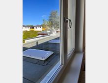 Blick durch ein geöffnetes Fenster auf ein Flachdach mit zwei weißen Lichtkuppeln, umgeben von grüner Vegetation und weiter entfernten Wohnhäusern. Im Hintergrund steht ein großer Baum vor einem klaren, blauen Himmel.