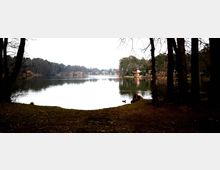 Ein ruhiger See umgeben von Bäumen, aufgenommen von einem Ufer mit kahlen Ästen im Vordergrund. Im Hintergrund sind Häuser und dichter Wald sichtbar, die sich im Wasser spiegeln.