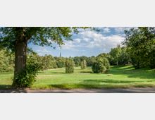 Grüne Parklandschaft mit Wiesen und einzelnen Bäumen, umgeben von dichterem Baumbestand am Horizont. Im Hintergrund ragt die Spitze eines Kirchturms über die Bäume hinaus, während im Vordergrund ein schattenspendender großer Baum zu sehen ist.