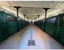 Innenansicht eines Pferdestalls mit einem langen, geraden Gang und beidseitig angeordneten grünen Boxentüren aus Holz mit Lüftungsöffnungen und Gittereinsätzen. Die Decke ist gewölbt, und schwarze Metallstützen tragen die Konstruktion.