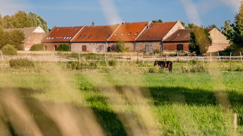Ländlicher Bauernhofkomplex aus Backstein mit langen Gebäuden und roten Ziegeldächern, dahinter von Bäumen umgeben. Davor liegt eine eingezäunte, grüne Weidefläche mit hohem Gras.