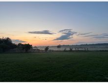 Weite Wiesenlandschaft mit niedrigen Zäunen und vereinzelten Bäumen, im Hintergrund ein Waldrand. Darüber ein Himmel in Dämmerungsfarben mit verstreuten Wolken und leichtem Bodennebel über den Feldern.