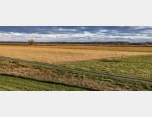 Weite Landschaft mit braunen und grünen Feldern, durchzogen von einem schmalen Weg. Am Horizont dichter Wald und bedeckter Himmel mit Wolken.