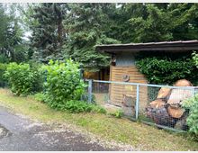 Holzschuppen mit Holzwand und Wellblechdach, umgeben von viel Grün, darunter mehrere Büsche und hohe Nadelbäume. Im Vordergrund ein Metallzaun mit Holzscheiten dahinter, daneben eine asphaltierte Straße.