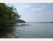 Ein ruhiger See mit klarem Wasser, im Vordergrund überhängende Äste eines Baumes und ein ins Wasser ragender Baumstamm. Im Hintergrund sind bewaldete Ufer und ein weiter Himmel mit wenigen Wolken zu sehen.