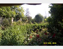 Ein üppig bewachsener Garten mit verschiedenen Sträuchern, Blumen und dichtem Grün, darunter rote Rosen im Vordergrund. Im Hintergrund sind ein Holzzaun, einige Bäume und ein großer Weidenbaum zu sehen.