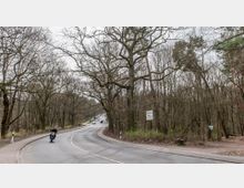 Kurvige Landstraße durch einen Wald mit kahlen Bäumen, die den Straßenrand säumen. Ein Motorradfahrer fährt auf der Straße, während auf der rechten Seite ein Schild mit der Aufschrift "U-Bahnhof Onkel Toms Hütte" sichtbar ist.