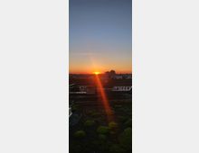 Sonnenuntergang über einer städtischen Skyline, aufgenommen von einem begrünten Dach mit Geländer im Vordergrund. Im Hintergrund sind Gebäude und ein klarer Himmel in orangenen und blauen Tönen sichtbar.