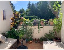 Eine kleine Terrasse mit Fliesenboden, umgeben von einer niedrigen, weißen Mauer, die mit zahlreichen Pflanzen in Töpfen dekoriert ist. Im Hintergrund sind grüne Bäume und ein blauer Himmel zu sehen, während ein Metallrohr und Sitzmöbel die Szene ergänzen.